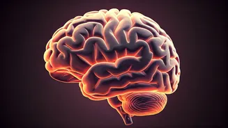 Dopamine Fasting: Can It Tame Your Brain?