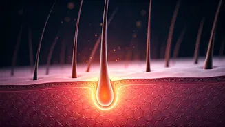 Korean Innovation: Near-Infrared Light Therapy Achieves 92% Reduction in Hair Aging Marker