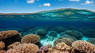 Australia & Beyond: 10 Dream Trips for Unforgettable Journeys