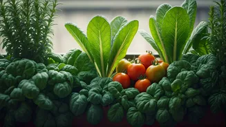 City Kitchens Need More Edible Plant Energy