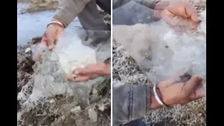 Ice Sheets, Frozen Dew: Biting Cold Grips Rajasthan’s Mount Abu As Temperature Dips To -7°C