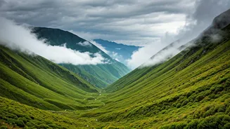 City Crowds Out, Misty Mountains In This Monsoon