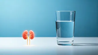 Summer Hydration for Kidney Patients: The Danger of Drinking Too Much Water