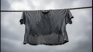 Humidity Can Hide High Sweat Loss When Clothing Stays Wet