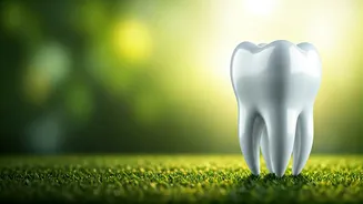 Keep Your Smile for Life: Preventing Tooth Loss as You Age