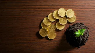 The Easy Investment Habit Everyone Talks About