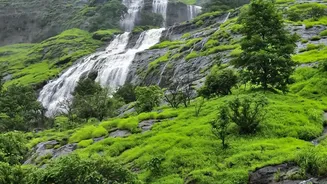 Why Shillong And Cherrapunji Top Monsoon Workation Preferences For Remote Staff
