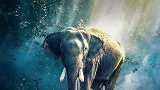 Why Lucknow’s Upcoming Night Safari Is Different From Traditional Wildlife Parks