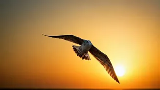 Seagulling: The Sneaky Dating Tactic That Keeps You Guessing