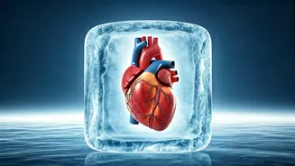 Winter Wellness: Heart Health in Delhi-NCR