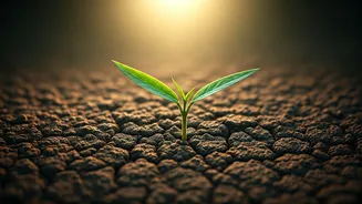 5 Gentle Steps to Reclaim Your Energy: A Burnout Recovery Guide