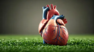 Your Weekly Health Guide: November 17-23