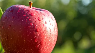 Related Stories banner