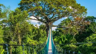 Assam's Eco-Tourism Destinations Come Alive With Seasonal Rain