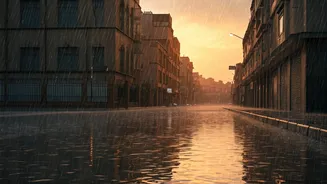 Delhi Weather: January Rainfall & Air Quality