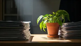 Unmotivated at Work? Spot Hidden Signs