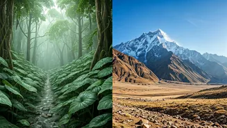 India’s June Travel Calendar Has Two Personalities