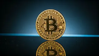 Decoding the Crypto Market: Trends, Sentiment, and What's Ahead