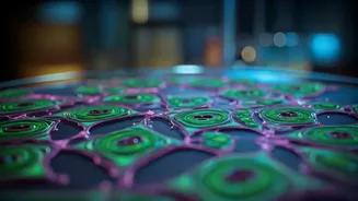 Reversing Frailty: A New Cell Therapy Offers Hope for India's Aging Population