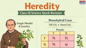CBSE Board Exams 2026: Quick Notes, Sample Questions For 'Heredity' in Class 10 Science (Biology)