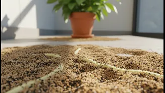 Why Adding Coarse Sand To Balcony Potted Mixes Creates The Ultimate Rain Drainage System