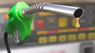 Fuel Price Shock Across India: Petrol Crosses Rs 115, Diesel Touches Rs 100 Mark; Check City-Wise Rates Here