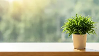 Navigating Anxiety: Understanding & Managing Worries