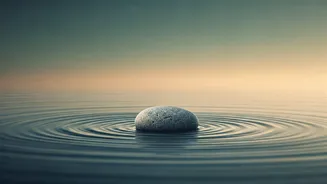 Related Stories banner