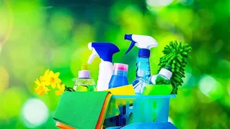 Household Cleaning Needs Fewer Products and Clearer Handling