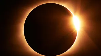 How The 2026 Eclipse Became An Opportunity For Solar Research