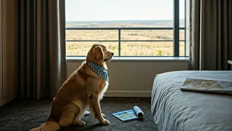 Furry Family Members Are Changing Travel Plans
