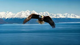 Anchorage in 24 Hours: Your Ultimate Guide to Alaska's Wild Heart