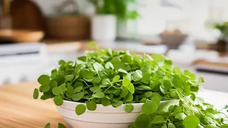 Monsoon Vegetable Advice Is About Extra Care, Not Giving Up Greens