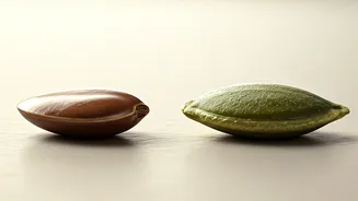Unveiling Seed Power: Flax vs. Pumpkin for Your Health