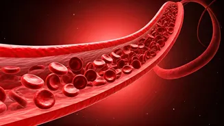 5 Habits for Healthy Arteries: A Daily Guide