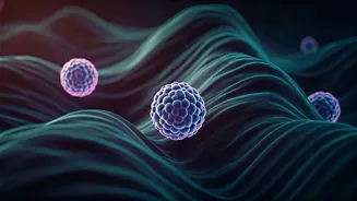 Sleep's Deep Secrets: Unpacking the 7-Hour Cycle for Body Repair