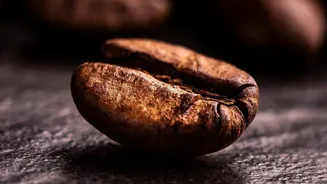 Why single-origin Arabica coffee beans from Chikmagalur Araku and Coorg are gaining global acclaim