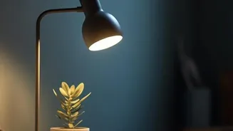 How Young Professionals Upgrade Home Desks Using Minimalist Wooden Storage Accessories And Ambient Lights