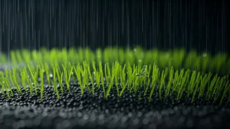 Rainy Day Lawn Woes: Will Your Grass Seed Survive the Downpour?