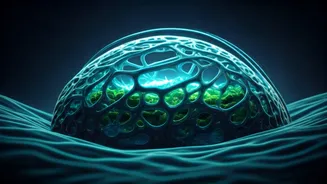 Stress Resilience: Exploring the Science of a 'Vaccine' Against Pressure