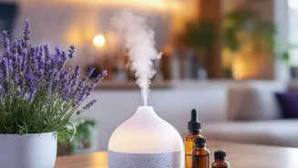Monsoon Musty Smell: What To Check Before Reaching For Air Freshener