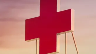 The Partnership Aims To Make Medical Knowledge More Accessible Across Unequal Health Systems