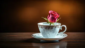 Navigating Extramarital Relationships: A Guide to the Complexities of Affairs