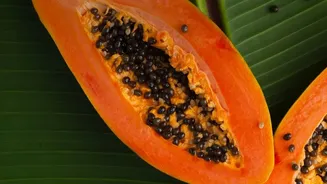 Freshness Determines Whether Monsoon Papaya Is Appealing or Risky