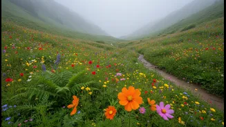 A comprehensive planning checklist for trekking Uttarakhand's Valley of Flowers safely this monsoon