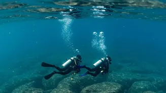 The New Ocean Iron Study: A Clearer View Of Climate Solutions With Side Effects