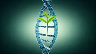 Marriage and Cancer Risk: Unpacking the Protective Effect and Who Benefits Most