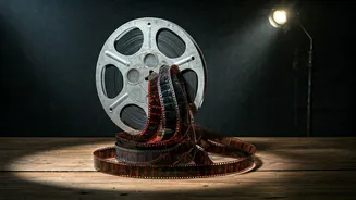 Vishal Bhardwaj's O Romeo: A Decade's Journey