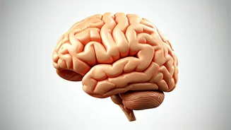 Boost Brain Power: Simple Exercise for Longevity