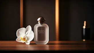 The Allure of Celebrity Scents: More Than Just a Fragrance, It's a Lifestyle Statement